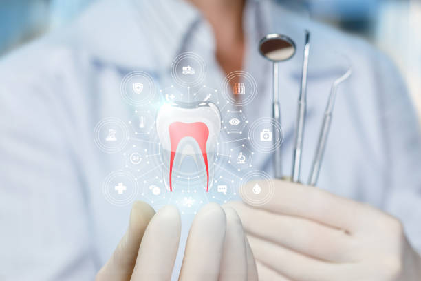 Best Sealants  in Oldsmar, FL